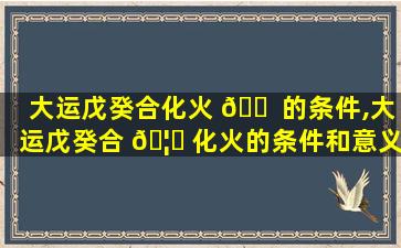 大运戊癸合化火 🐠 的条件,大运戊癸合 🦉 化火的条件和意义